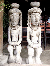 tomok_1